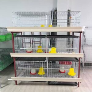 Poultry Cages